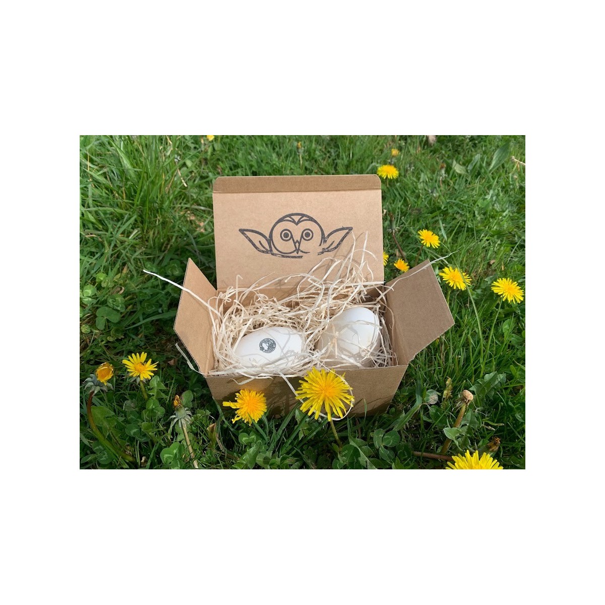 huevo de oca ecologico