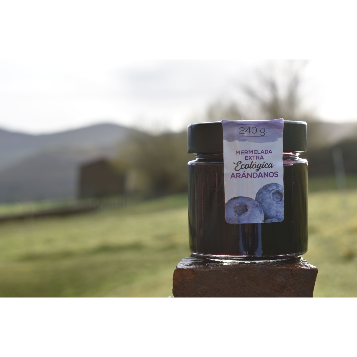 mermelada de arandanos ecologica