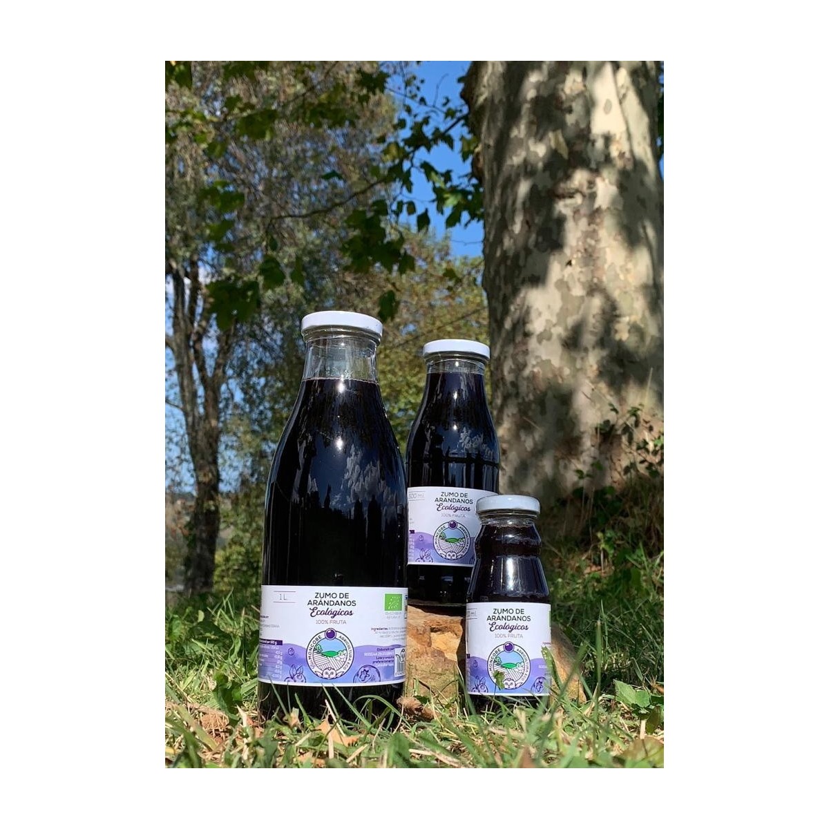 zumo de arandanos azules ecologicos